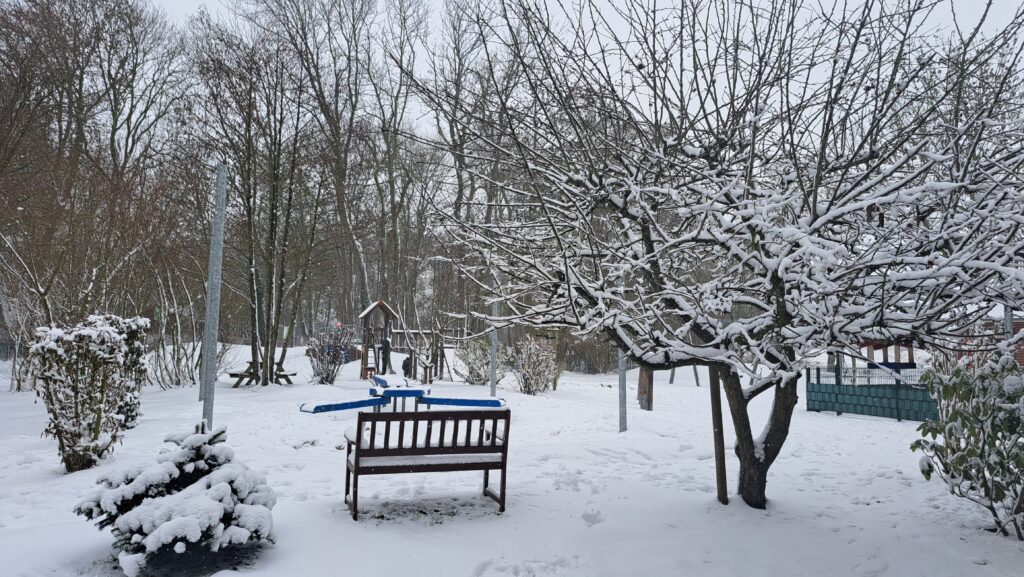 Das aktuelle Bild hat keinen Alternativtext. Der Dateiname ist: 20260126_131837-scaled.jpg